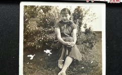 一道本日本视频无码